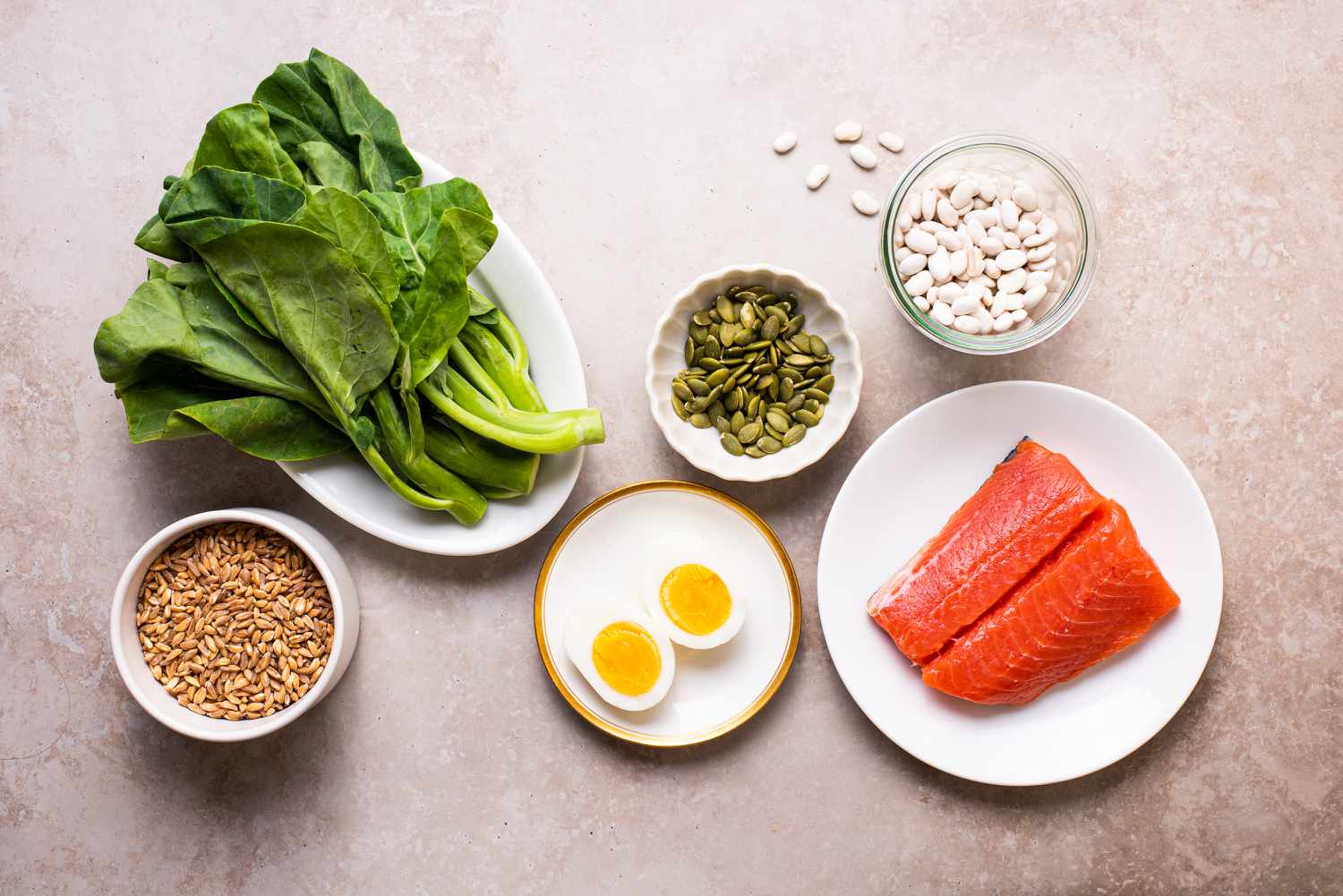 Evcil hayvanlar için dengeli beslenme, taze içerikli kuru mama ve yaş mama görselleri